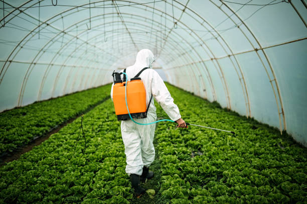 Best Pest Control Cost  in Cullman, AL