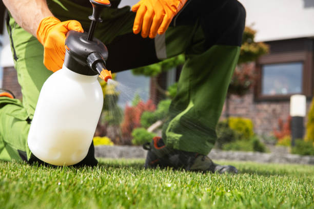 Best Pest Prevention Services  in Cullman, AL
