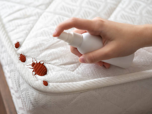 Best Insect Control  in Cullman, AL