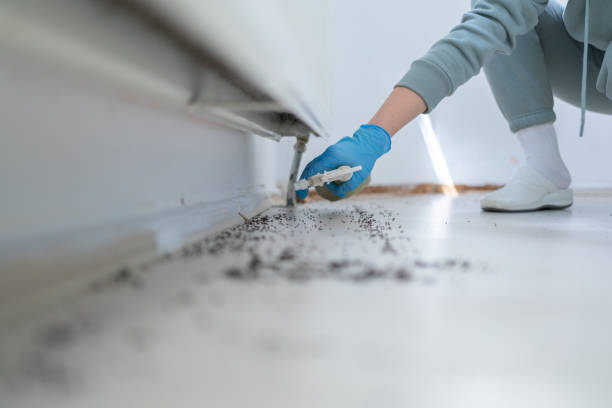 Best Pest Removal Services  in Cullman, AL
